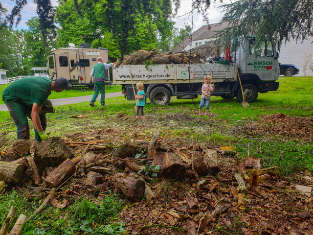 Baumpflege Baumfällung